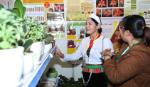 Time for Vietnam's agriculture go hi-tech