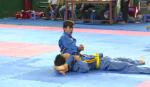 The Vovinam championship of the Education and Training sector organized