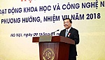 Khoa học công nghệ giúp năng suất lúa Việt Nam đứng đầu ASEAN