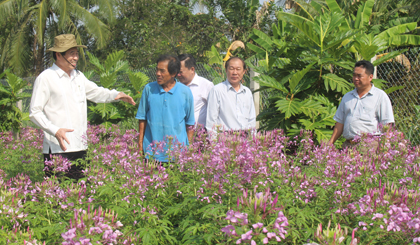 Chủ tịch UBND tỉnh Lê Văn Hưởng trao đổi với chủ vườn hoa Thạch Thảo.