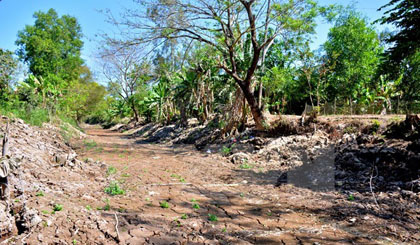  A canal in Ca Mau province was dried up in 2016 drought. (Photo: VNA)