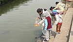 'Phóng sinh' cá chép: Nét đẹp văn hóa tâm linh của người Việt