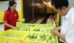 Vietnam earns US$13 million from fruit and veg exports each day as Tet nears