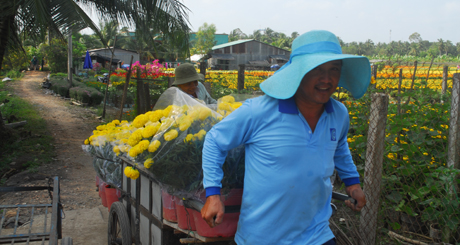 Người trồng vận chuyển hoa giao cho khách.