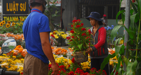 Người dân trả giá hoa ở một điểm bán hoa. 