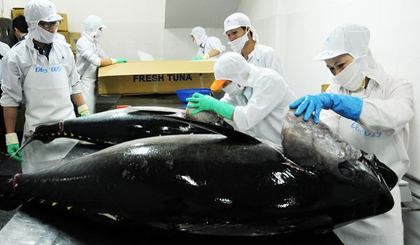 Vietnam's tuna exports to the EU recovered strongly in the first month of 2018.