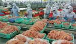 Vietnamese tra fish exporters oppose unfair US duties on fish fillets