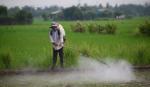 World Bank offers advice on reducing agricultural pollution in Vietnam