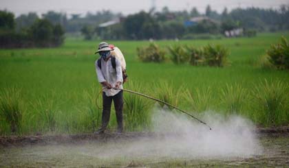 Intensive farming is a major and often under-recognised source of pollution in Vietnam.