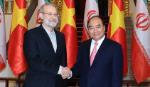 Iran looks to foster comprehensive partnership with Vietnam