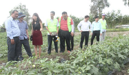 A delegation of the Saemaul Globalisation Foundation visits an okra farm in Phung Hiep district, Hau Giang province, in March 2018 (Photo: baohaugiang.com.vn)