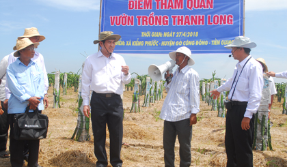 Chủ tịch UBND tỉnh nghe nông dân thuyết trình về trồng thanh long.