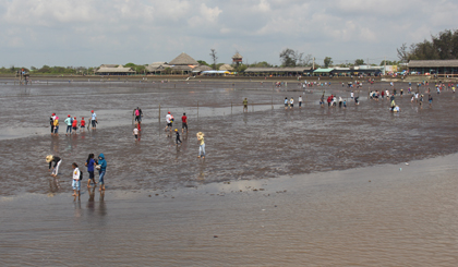 Nhiều du khách đến biển Tân Thành để trải nghiệm và khám phá cát đen, biển bùn.