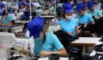 Manufacturing sector regains growth momentum