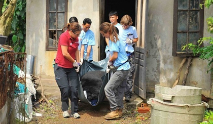 Rescuing a caged bear (Photo: VNA)