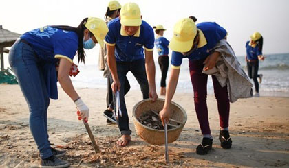 Young people are collecting garbage at a beach. (Photo: VOV)