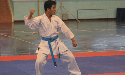 Karatedo thu hút người tập với các đòn thế tay  dứt khoát, mạnh mẽ.