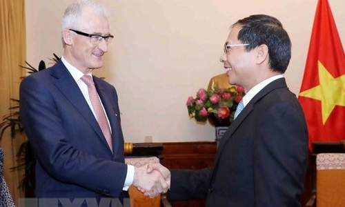 Deputy Foreign Minister Bui Thanh Son (R) welcomes Minister-President of Belgium’s Flanders region Geert Bourgeois on May 14 (Photo: VNA)