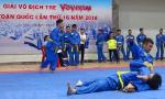 More than 500 young martial artists compete at Vovinam championship