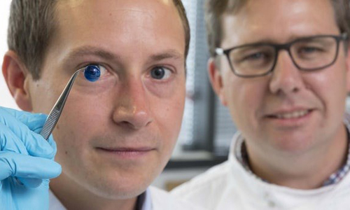 Tiến sỹ Steve Swioklo (trái) và giáo sư Che Connon với giác mạc được in 3D (Nguồn: Đại học Newcastle)