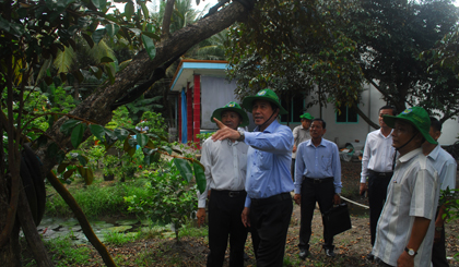 Chủ tịch UBND tỉnh Tiền Giang Lê Văn Hưởng cùng lãnh đạo Sở, ban, ngành và nông dân tham quan vườn vú sữa.