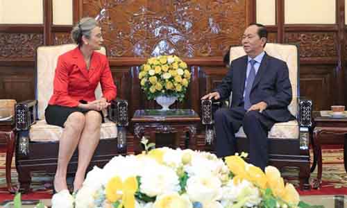President Tran Dai Quang (R) hosted outgoing Dutch Ambassador to Vietnam Nienke Trooster in Hanoi on June 7 (Photo: VNA)