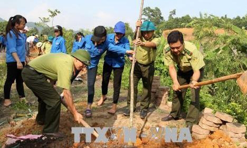 Participants plant trees in the locality (Photo: VNA)