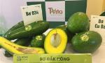 Programme promotes Dak Nong avocados to international market