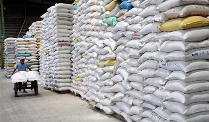 Kho gạo xuất khẩu của Công ty Lương thực Đồng Tháp. Ảnh minh họa: Đình Huệ/TTXVN