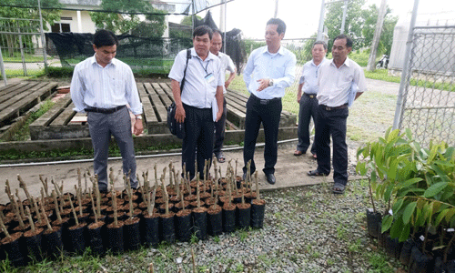 Ban Kinh tế - Ngân sách HĐND tỉnh kiểm tra một số cơ sở sản xuất, kinh doanh giống cây trồng  tại xã Long Hưng và xã Long Định (huyện Châu Thành).