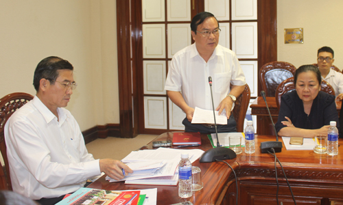 Phó Chủ tịch UBND tỉnh Phạm Anh Tuấn phát biểu ý kiến tại buổi làm việc.