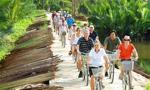 Vietnam caters for over 9 million foreign tourists in 7 months