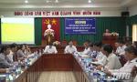 Tien Giang province implements the high-tech rice production project