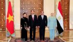 Chủ tịch nước Trần Đại Quang hội đàm với Tổng thống Ai Cập Al Sisi
