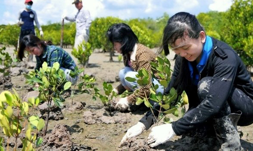 Youth join a planting campaign to develop protective forests in Can Gio, Ho Chi Minh City. (Photo: VNA)