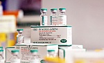 Vaccine cúm A/H5N1 do Việt Nam sản xuất có giá bằng 1/3 nhập khẩu