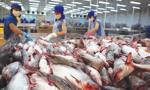 Vietnam's Tra fish export sees competitors
