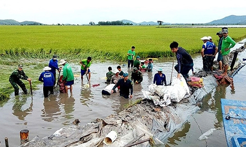 ABO/NDO - The Prime Minister issued Telegraph No. 1127/CÐ-TTg on August 31, urging for a response to the floods in the Mekong Delta and in the North amidst the complex development of flooding in recent days.