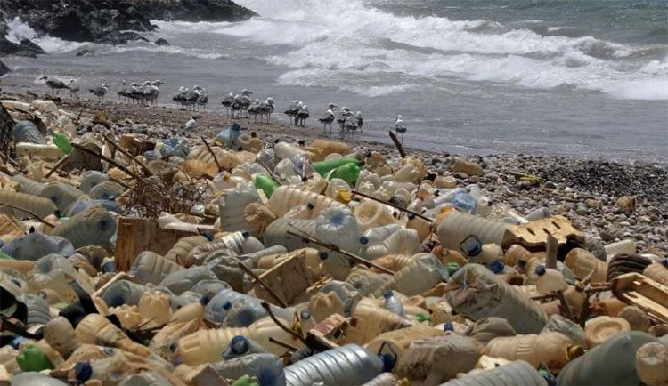 Tình trạng ô nhiễm đồ nhựa ngày càng nghiêm trọng trong các đại dương. (Ảnh: straitstimes.com).