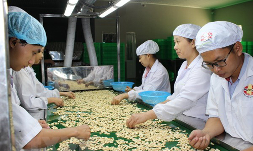 Shrimp, fruit, cashew nuts, coffee and wood products posted export value of more than 3 billion USD each. (Source: VNA)