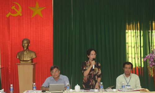 Vice Chairwoman of the Provincial People's Council Nguyen Thi Sang speaks at the working session. Photo: M.THANH