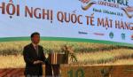 Gạo Việt Nam cần xây dựng chỉ dẫn địa lý để nâng giá trị
