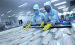 Nine-month seafood exports estimated at 6.4 billion USD
