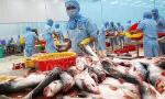 Tra fish exports to exceed 2 billion USD