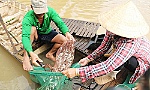 Mekong Delta life in flooding season