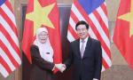 Deputy PMs call for stronger Vietnam-Malaysia strategic partnership