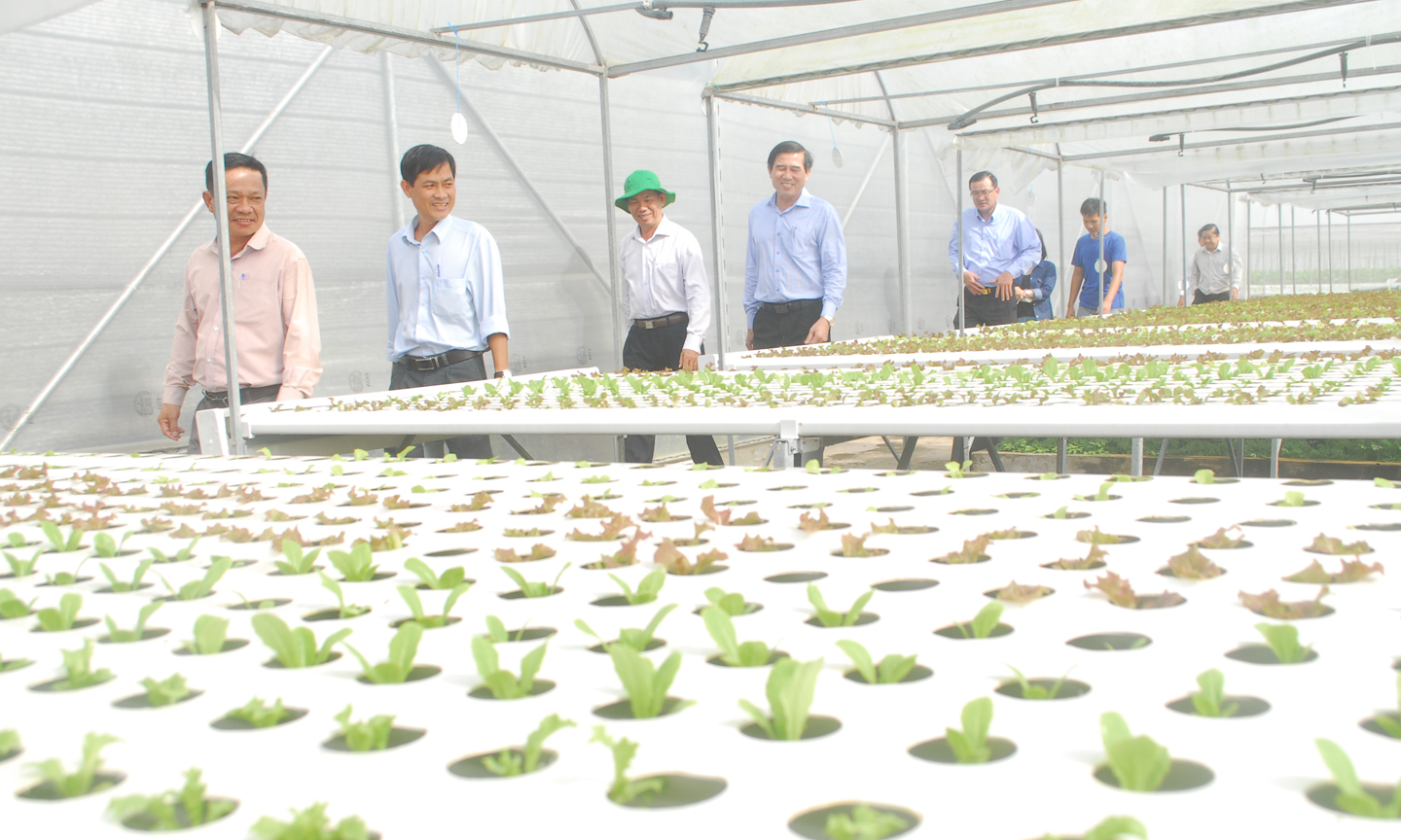 Nền nông nghiệp đang phát triển theo hướng công nghệ cao (trong ảnh: Tham quan mô hình trồng rau theo công nghệ cao  ở huyện Tân Phước). 								                Ảnh SĨ NGUYÊN