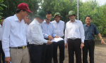 The Standing Tien Giang provincial People's Committee surveys public lands