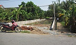 Làm rõ vụ bán đất công ở xã Phú An
