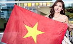 Nhan sắc Việt rộn ràng trên sàn đấu quốc tế
